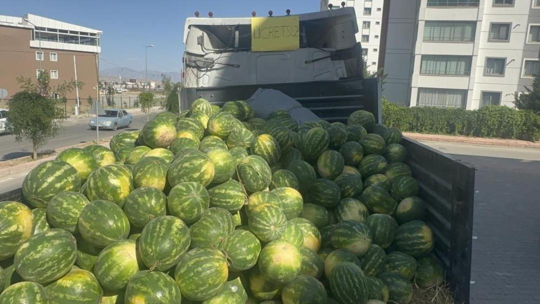 Vatandaşlara ücretsiz olarak dağıtılmış 30 ton karpuz: 