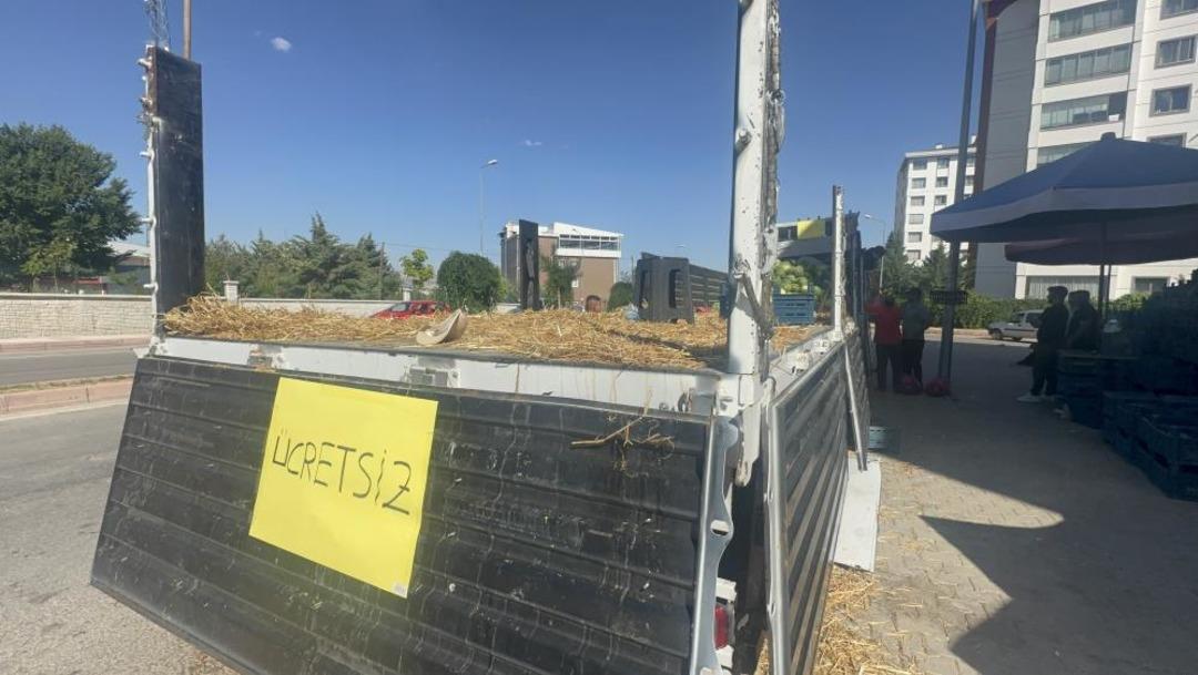 Vatandaşlara ücretsiz olarak dağıtılmış 30 ton karpuz: 