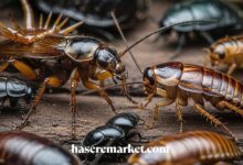 hasere market - kene ilaçları, haşere ilaçları, hamamböceği ilaçları